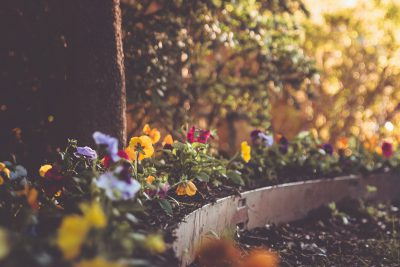 Top Tips for Rented Properties with Gardens